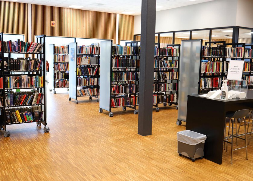 Skolebiblioteket - Klikk for stort bilde